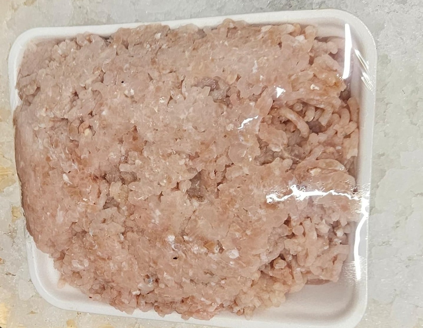 כל סוגי הדגים בחיפה