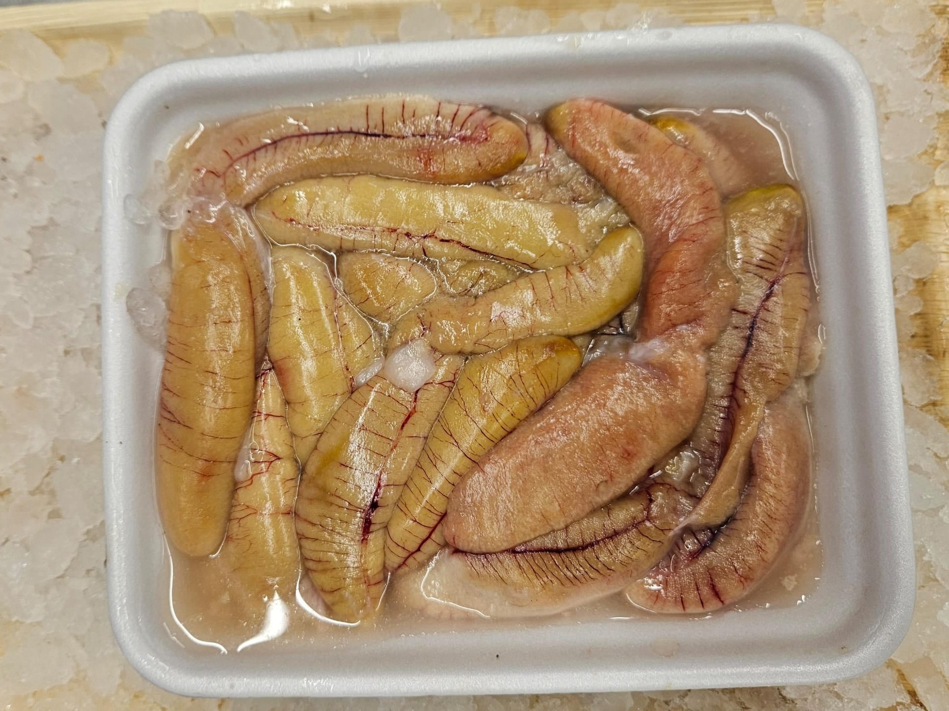 מרכז הדגים חיפה