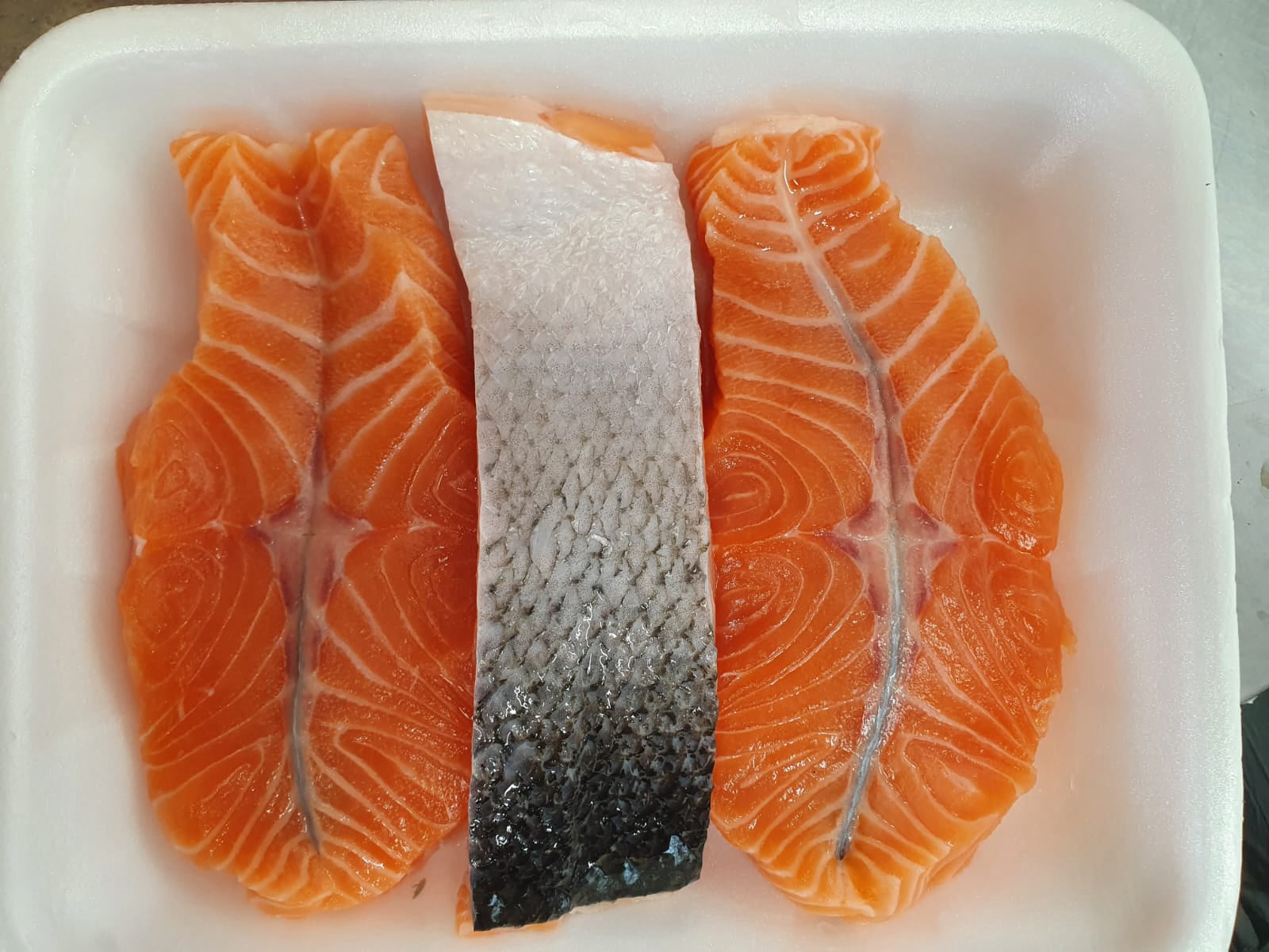 משלוחי דגים בחיפה